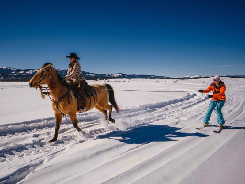 Another Great Winter Activity
