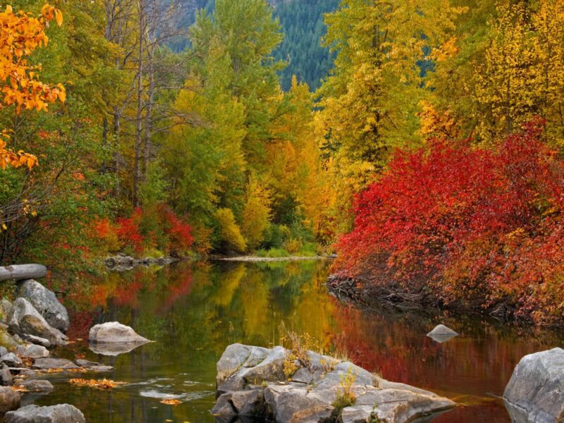 Fall in Summit County CO