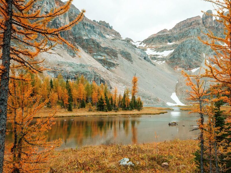 Events in Keystone, CO and Other Towns This Week