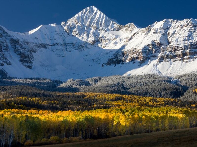 This week in Colorado