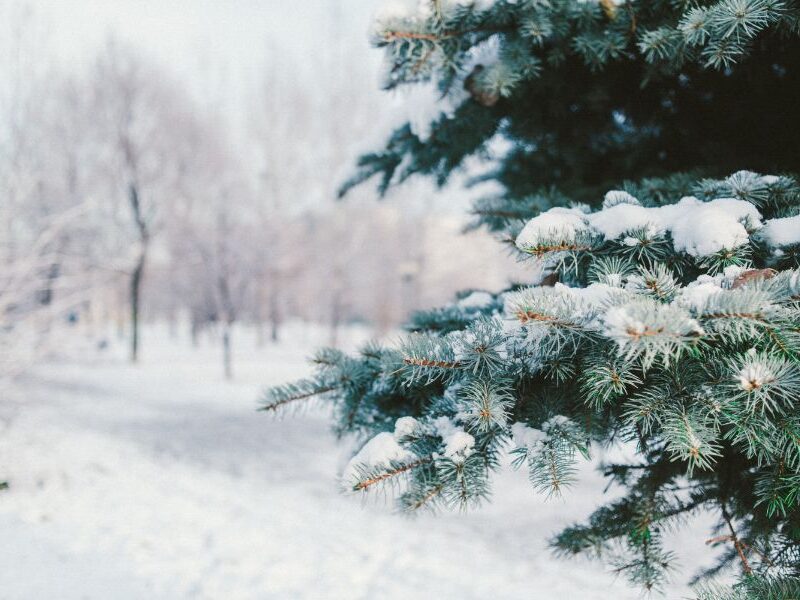 Events in Breck This Week
