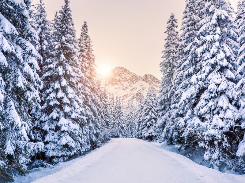Events in Summit County, CO