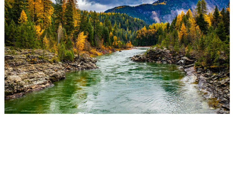 Featured image for This Weeks Summit County Events