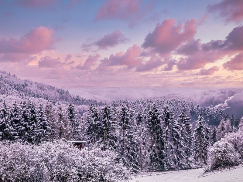 Family Friendly Events in Summit County CO