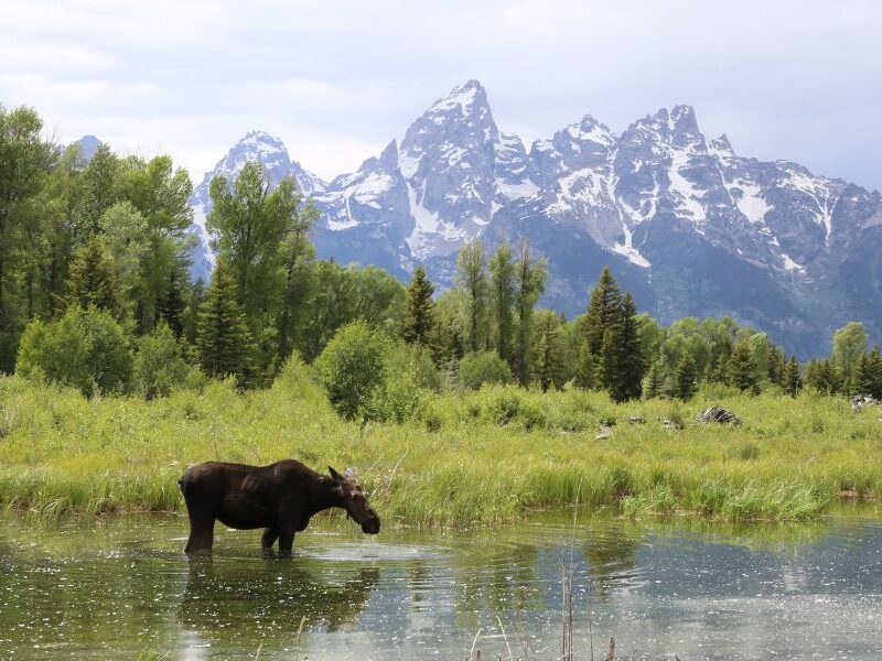Events in Breckenridge This Week