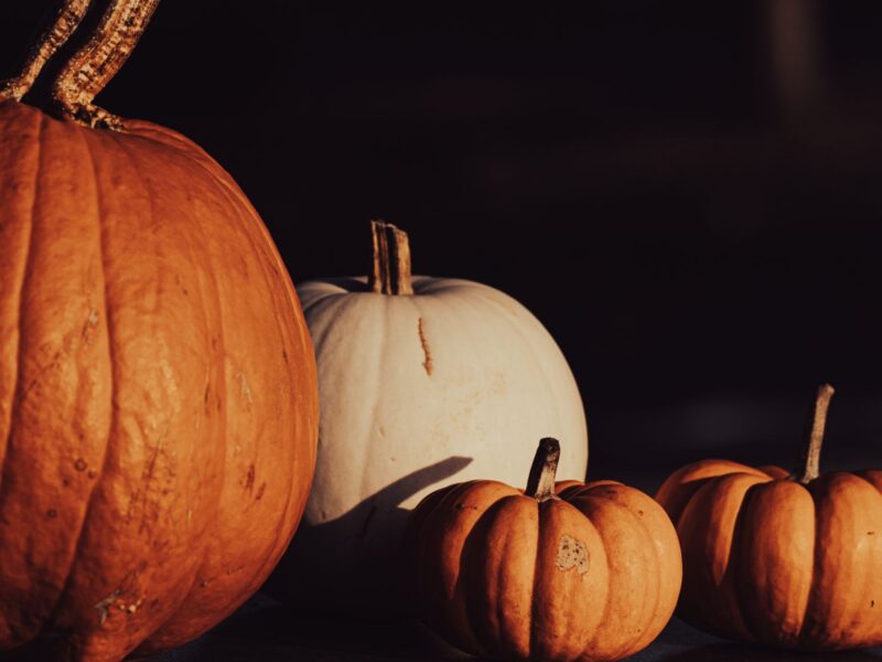Autumn Tours