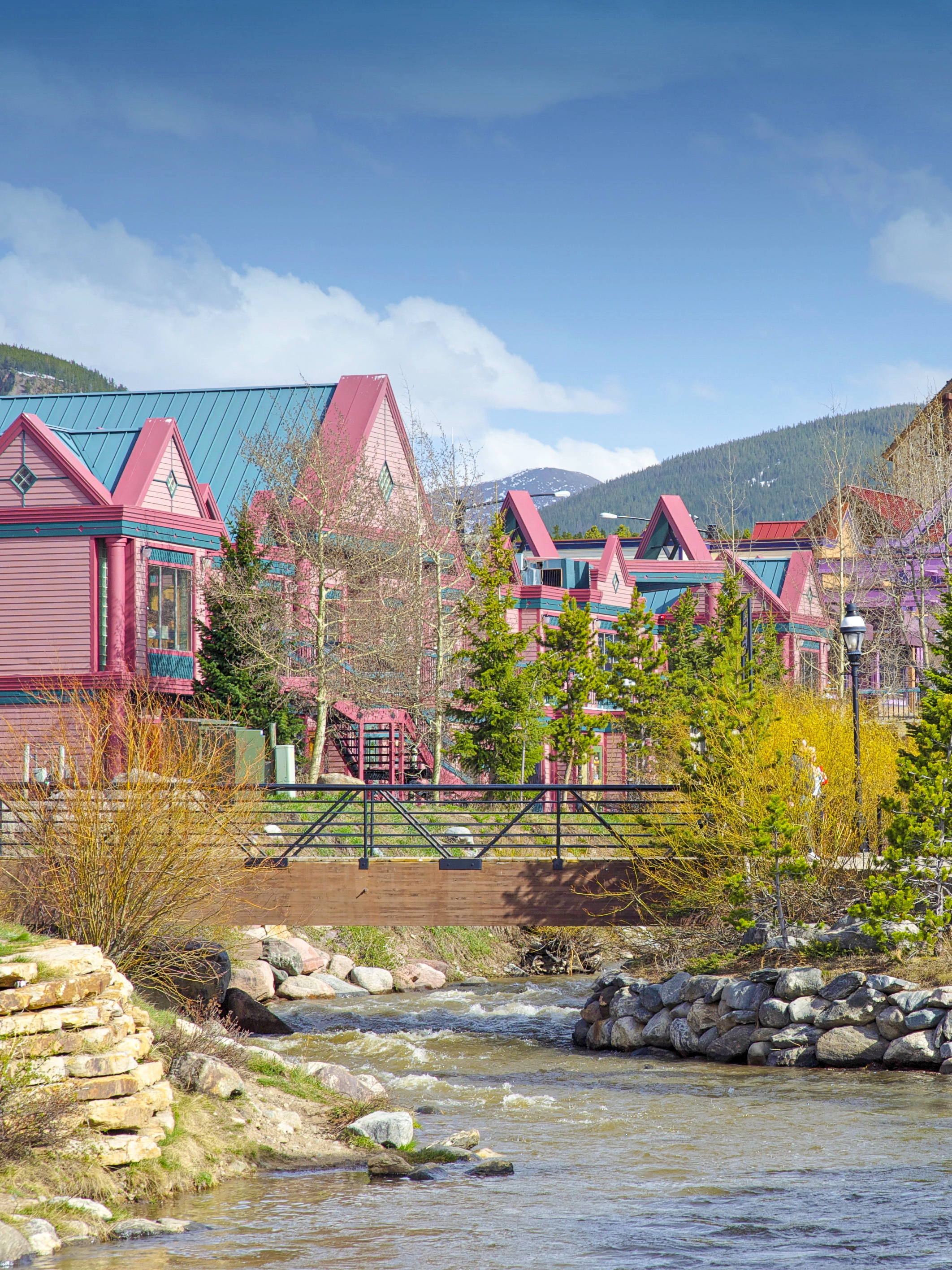 Realtor in Breckenridge, CO