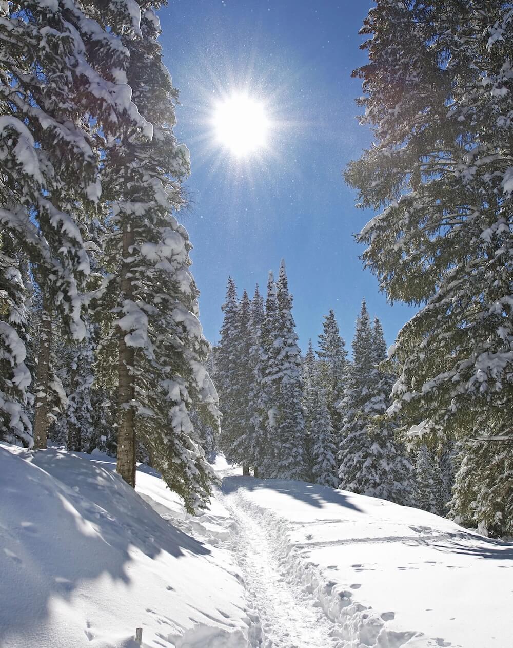 Realtor in Silverthorne, CO